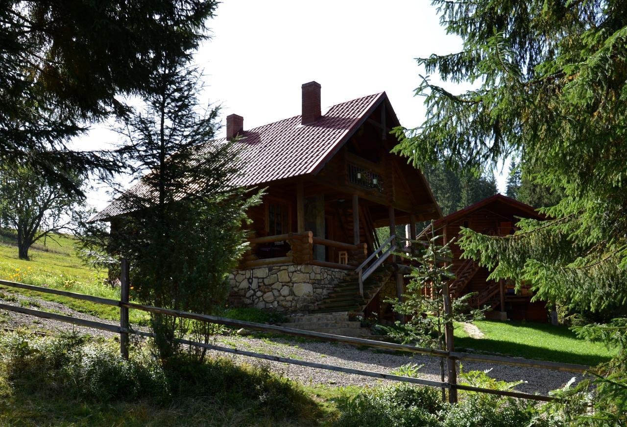 Villa Jazz Xata Yablunytsya Esterno foto